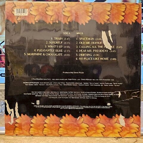 4 Non Blondes – Bigger, Better, Faster, More! LP PLAK
